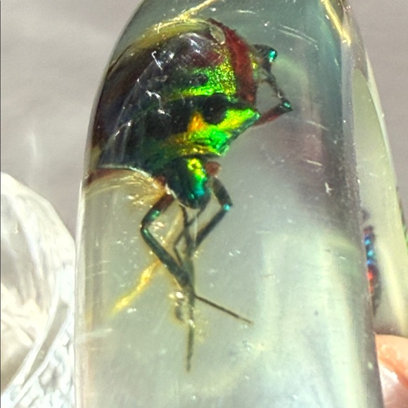 SOLD - Picture 6 of 8